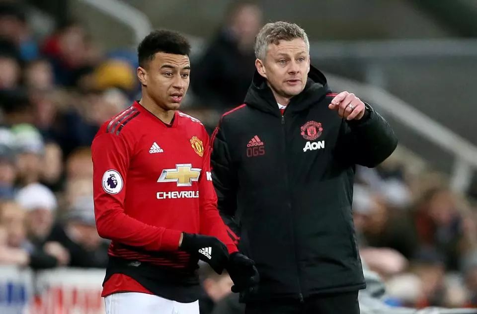 拉菲尼亚 拉菲尼亚