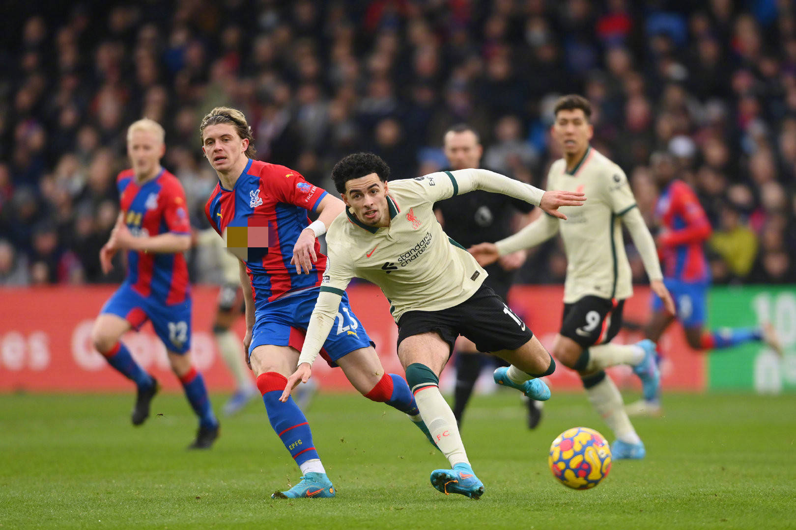 然天赋出众 然天赋出众